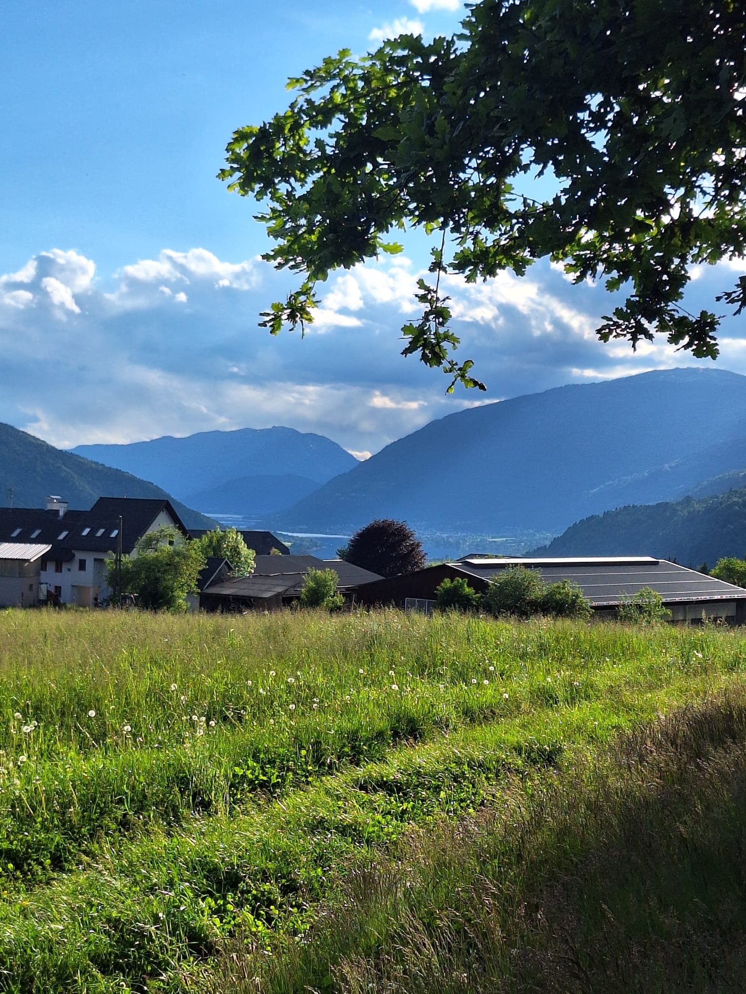 Landschaft rund um Liebetig